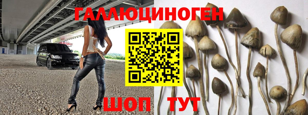 Псилоцибиновые грибы прущие грибы Губкин