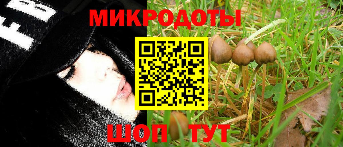 Губкин  Галлюциногенные грибы Cubensis  где продают   Псилоцибиновые грибы MAGIC MUSHROOMS  Вход с VPN 